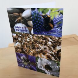 Happ-bee Birthday (Single Greeting Card)
