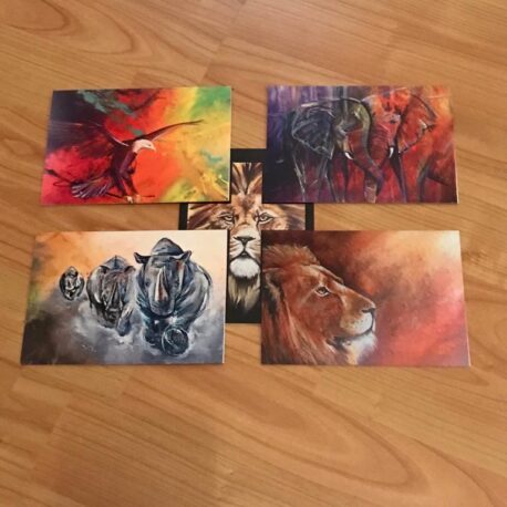 African Animals card pack